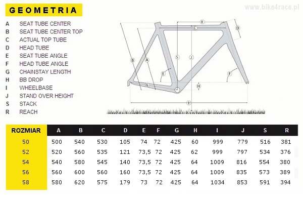 Ridley-X-Night-geometria.jpg