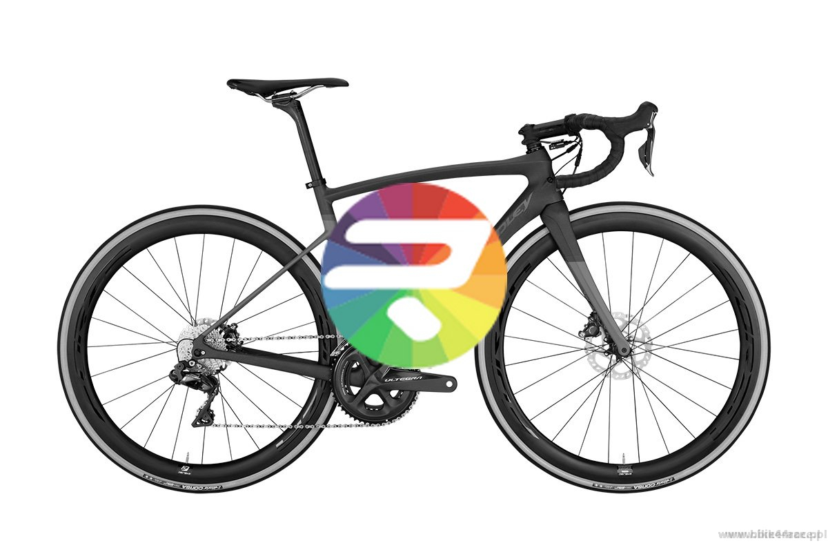 ridley liz bike