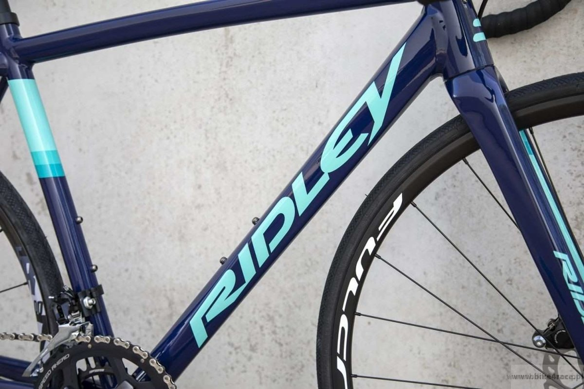 ridley liz disc