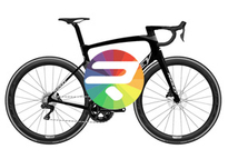 Road bicycle RIDLEY NOAH FAST DISC - Super Record EPS 2x12s - configurator