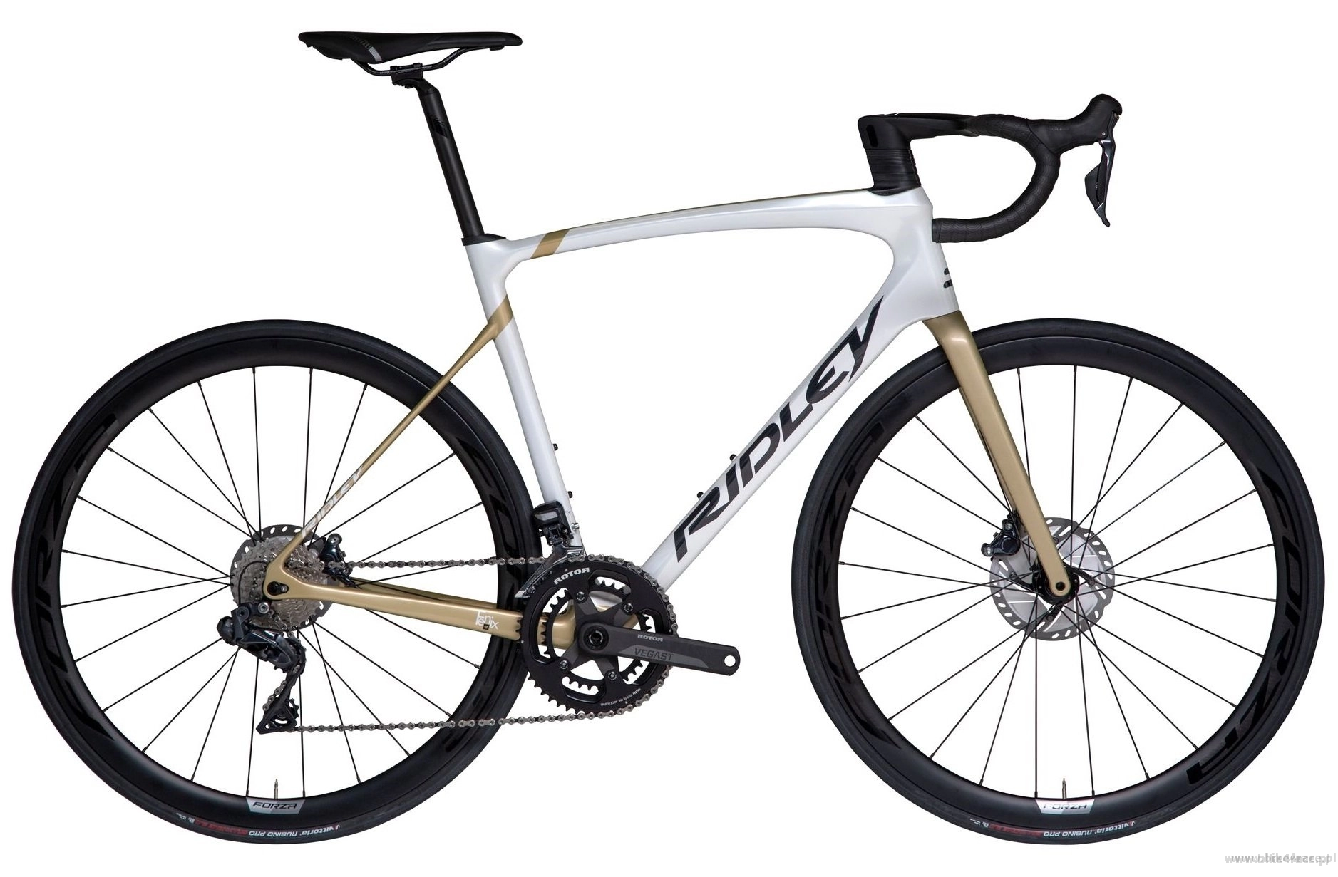 Road frameset RIDLEY FENIX SLiC - color FSD-30Bs (Pearl White-Gold
