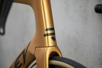 Road bicycle RIDLEY NOAH FAST DISC - 105 Di2 2x12s - color NFD-03Am (Black Metallic-Honey Gold Metallic)