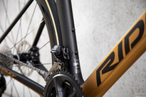 Road bicycle RIDLEY NOAH FAST DISC - 105 Di2 2x12s - color NFD-03Am (Black Metallic-Honey Gold Metallic)